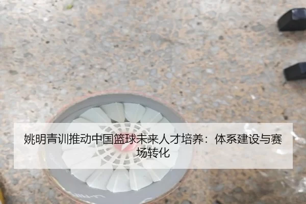 img_1780607956628_810_2_825.jpg